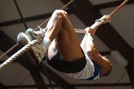 Olivier_Devaux_performances